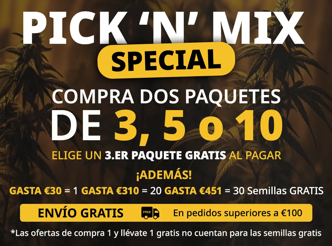 Banner Mobile