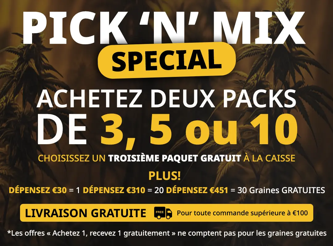 Banner Mobile