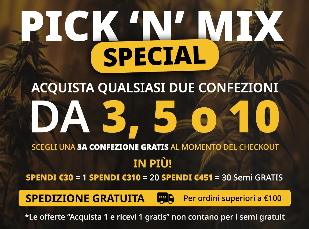 Banner Mobile
