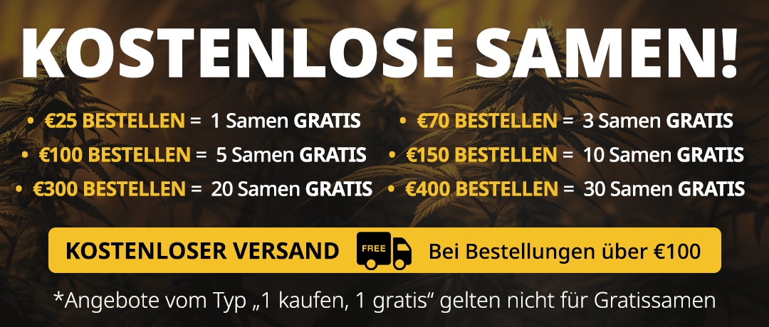 Banner Mobile