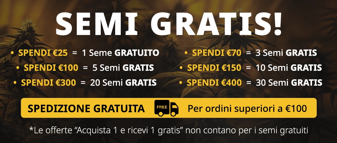 Banner Mobile
