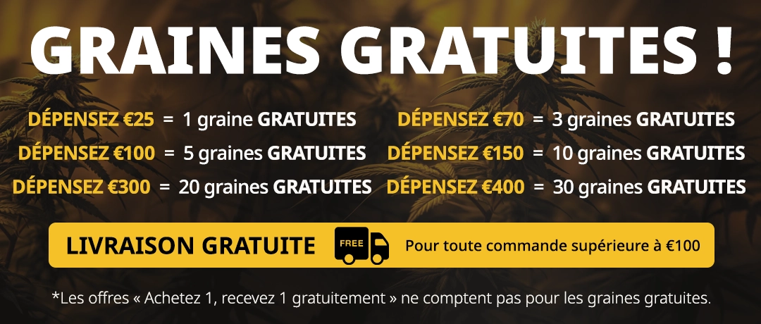 Banner Mobile