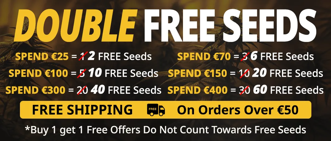 Banner Mobile