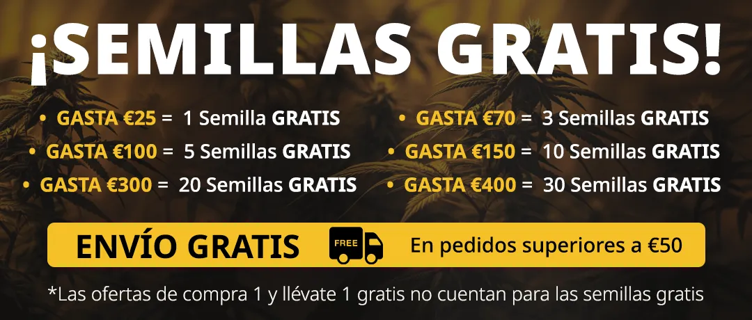 Banner Mobile