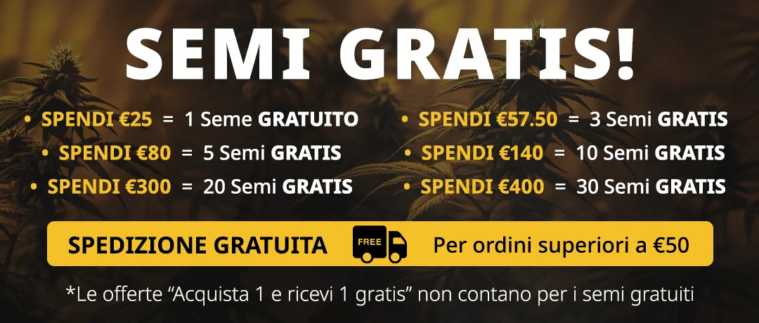 Banner Mobile