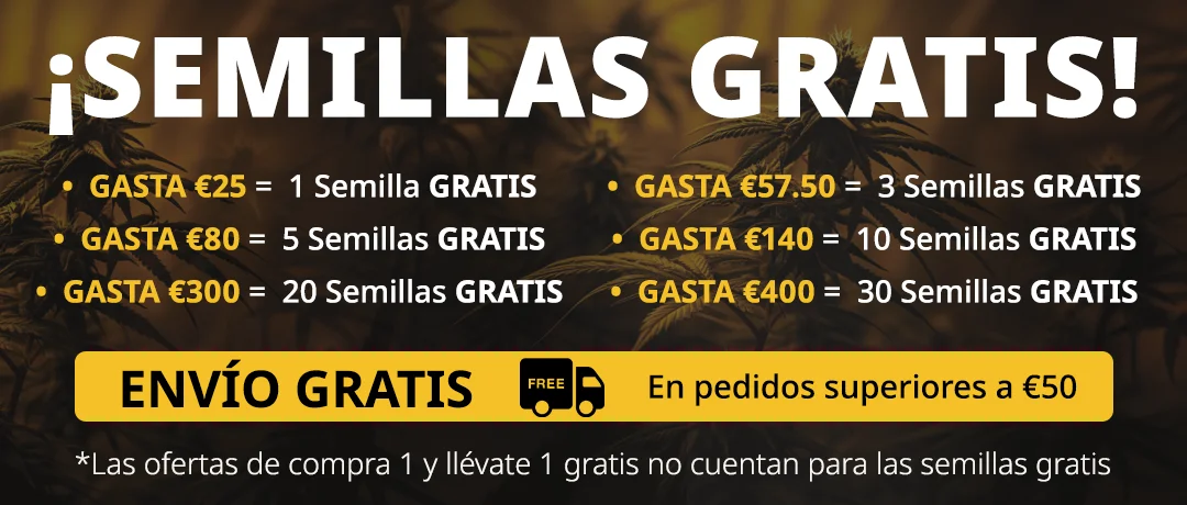 Banner Mobile