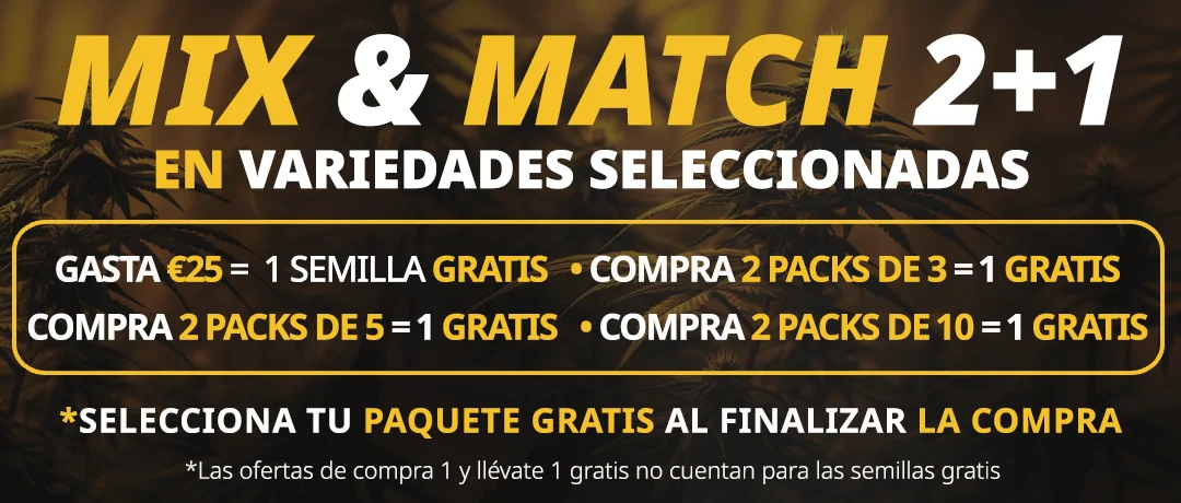 Banner Mobile