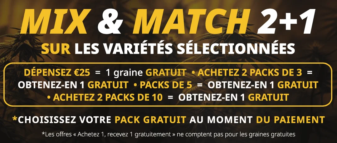 Banner Mobile
