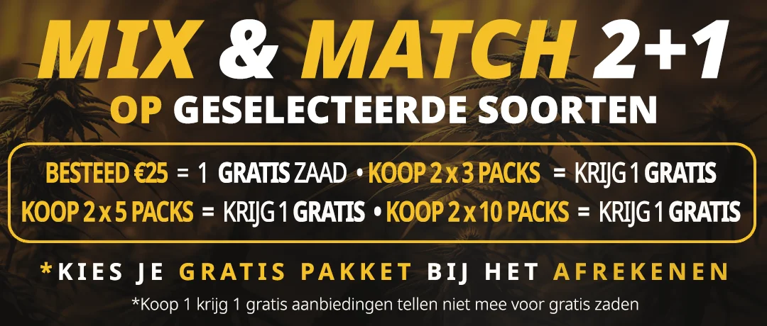 Banner Mobile
