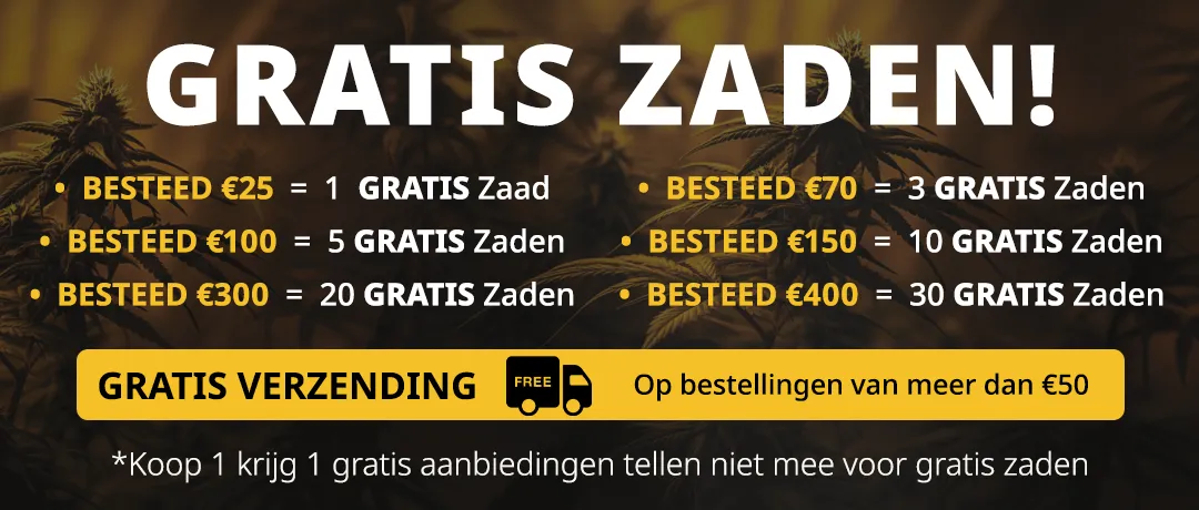 Banner Mobile