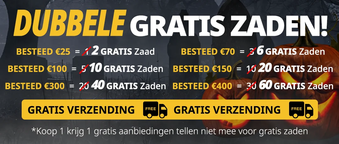 Banner Mobile