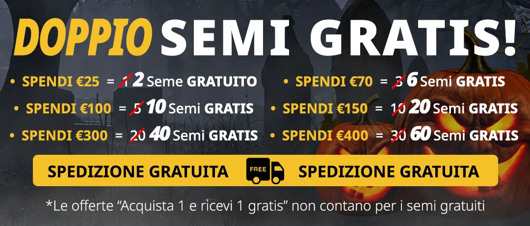 Banner Mobile