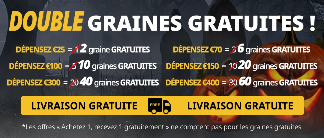Banner Mobile
