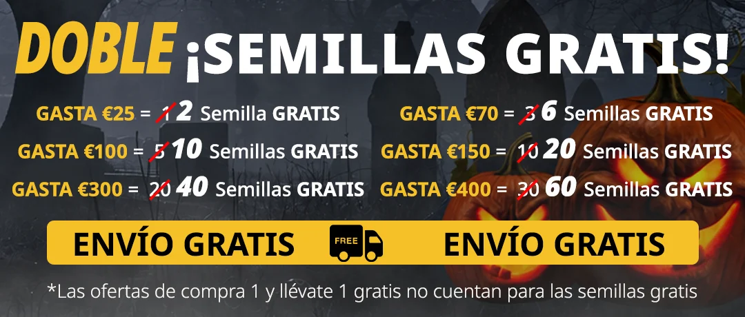 Banner Mobile