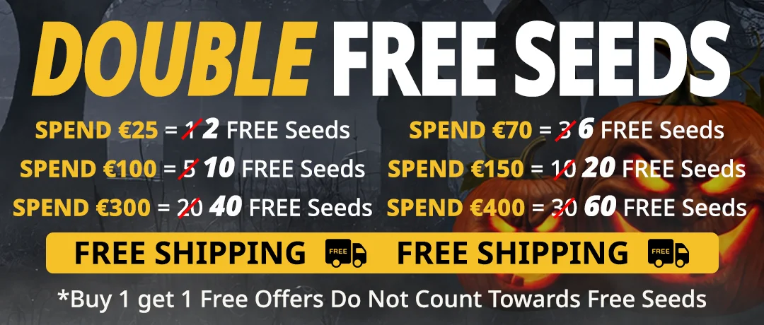 Banner Mobile