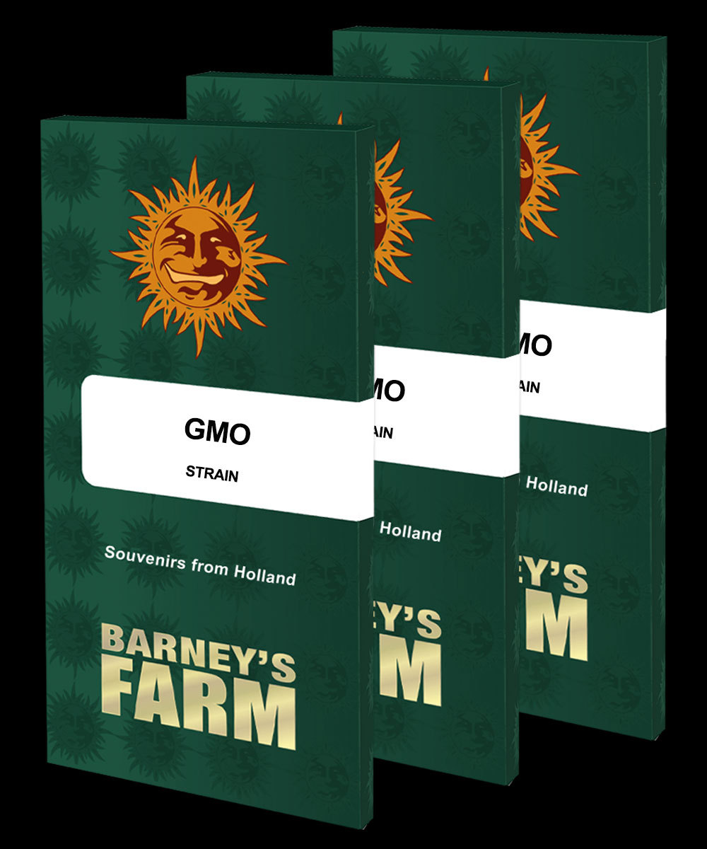 GMO Weed Strain Seeds BARNEYS FARM gmo-weed-strain-seeds-barneys-farm