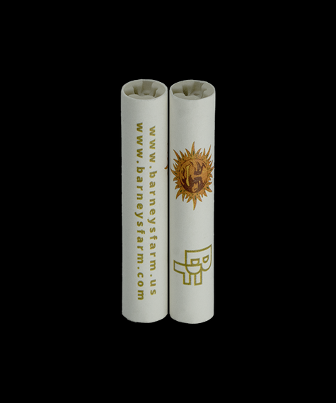 Carbon Filters - Pack of 10 filters