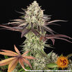 Apple Fritter 14