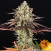 Apple Fritter 4
