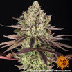 Apple Fritter 7
