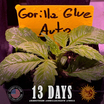 Gorilla Glue Auto 3