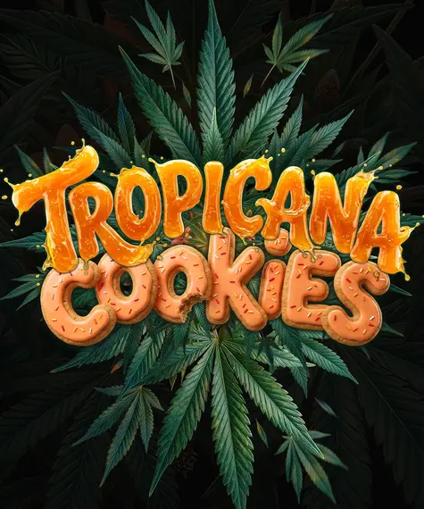 Tropicana Cookies Auto Strain